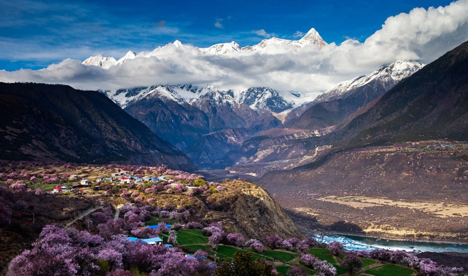 西藏桃花节:直飞林芝+拉萨+日喀则+青藏铁路11日