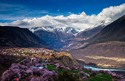 西藏桃花节：直飞林芝+拉萨+日喀则+青藏铁路11日